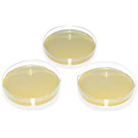 Megro Placas para cultivo de setas (20 placas preparadas)